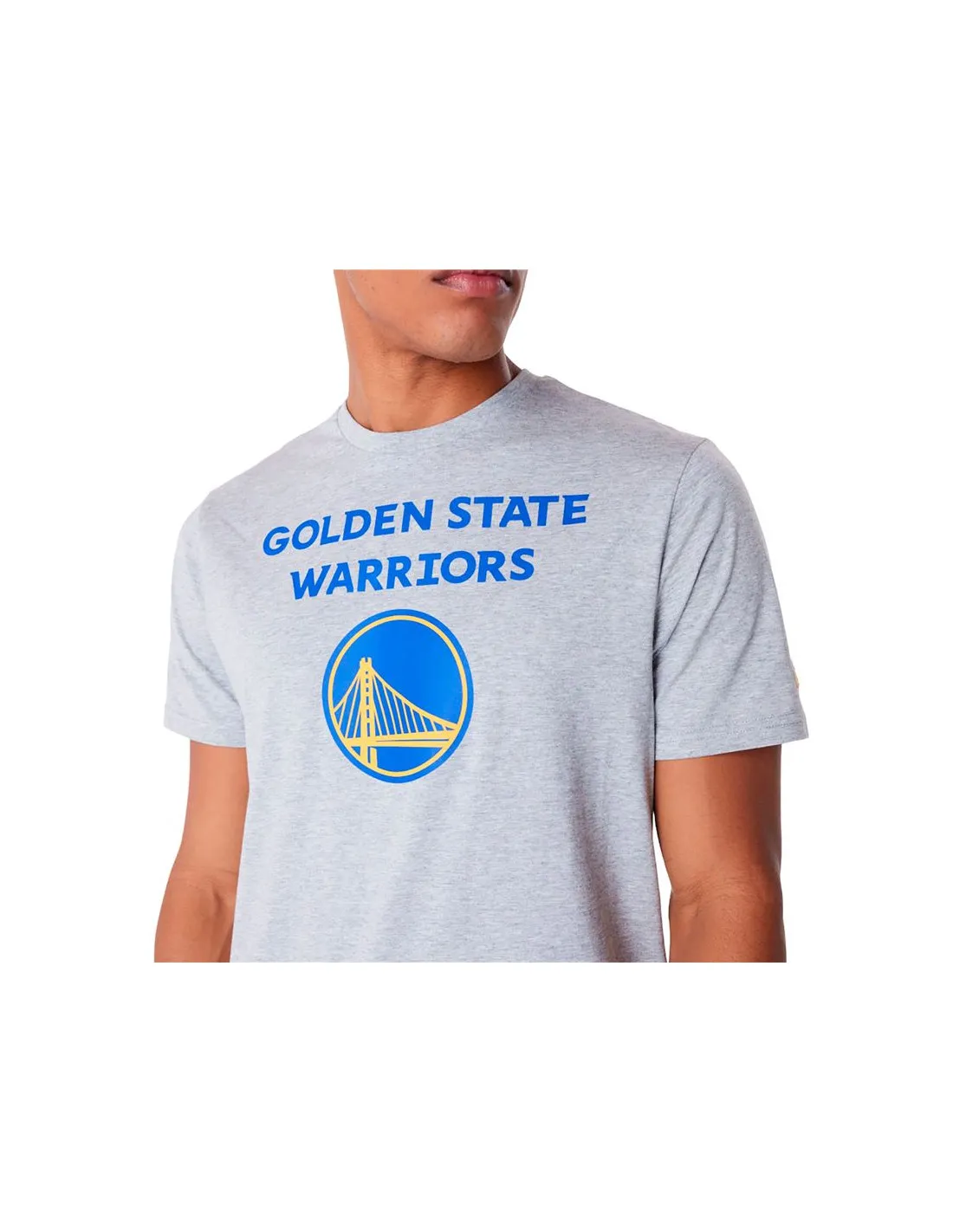 Camiseta New Era NBA Regular Golden State Warriors Gris Hombre